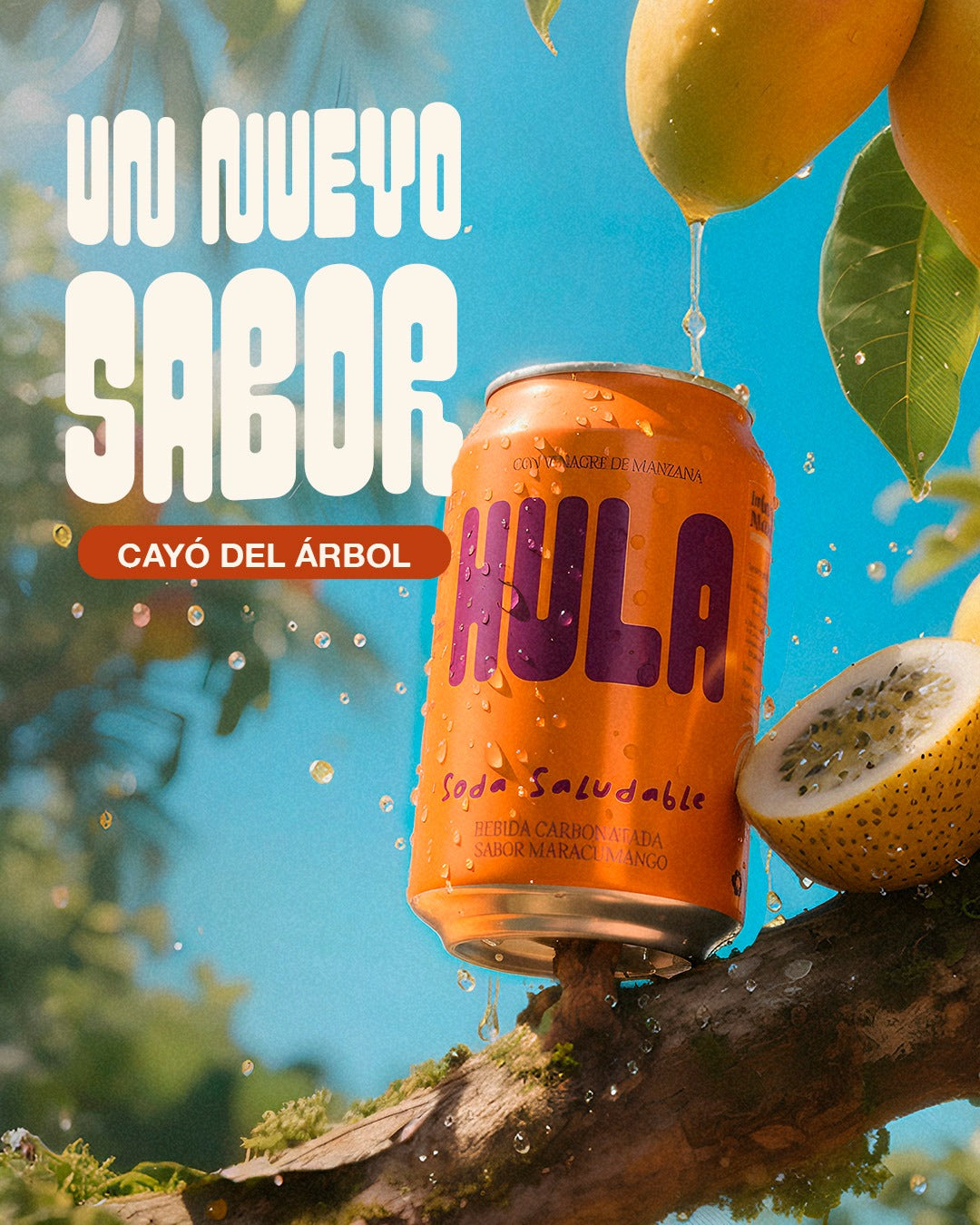 Hula Maracumango 330ml